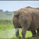 Illustration for article titled Let's check out this year's Comedy Wildlife Photography Awards contenders